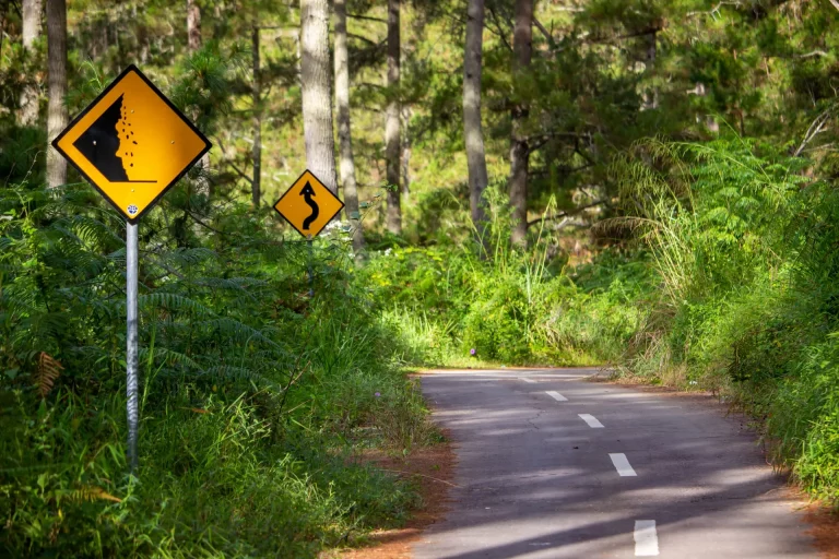 Route forestière avec panneaux de signalisation