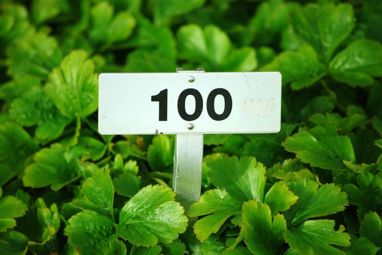 Panneau numéro 100 sur fond de feuilles vertes