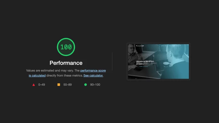 Score de performance 100 du site web de Satellite WP