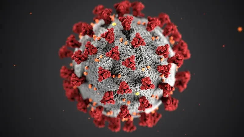 Modèle 3D détaillé du virus COVID-19