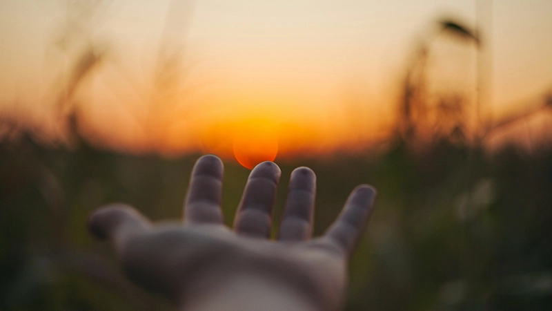 Main tendue vers le soleil couchant