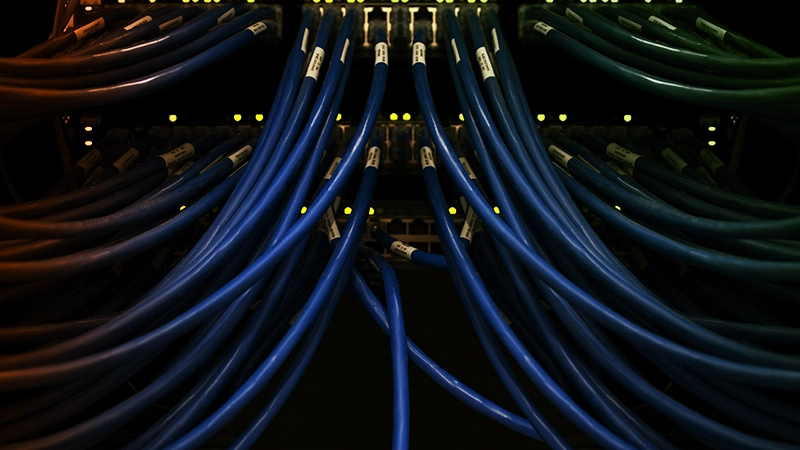Vue arrière d'un serveur montrant une multitude de câbles connectés aux ports.